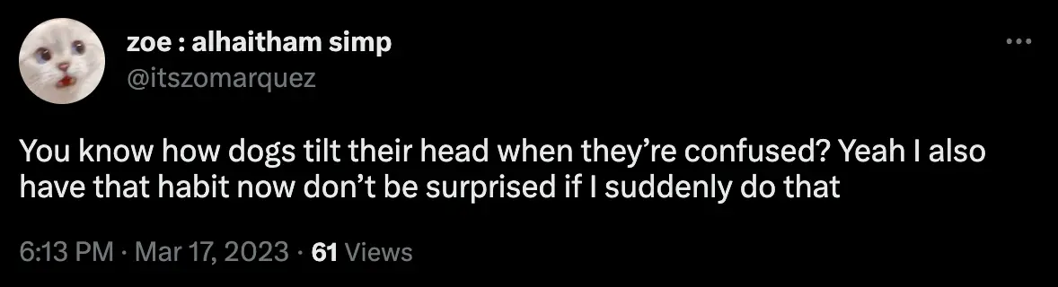Head-tilting could be a sign of a dog listening more closely or being 'a bit confused'.