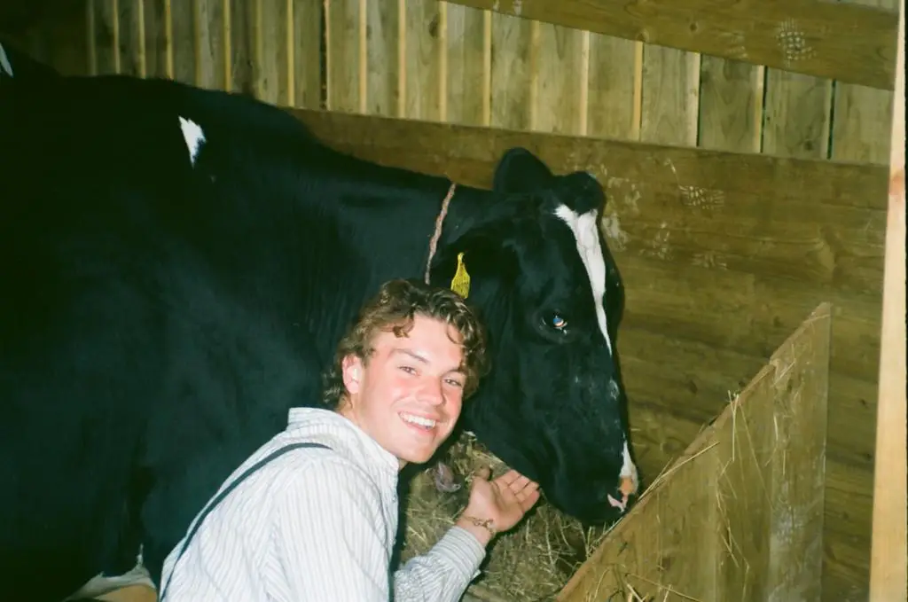 The participants milked cows in the barn they'd built.
