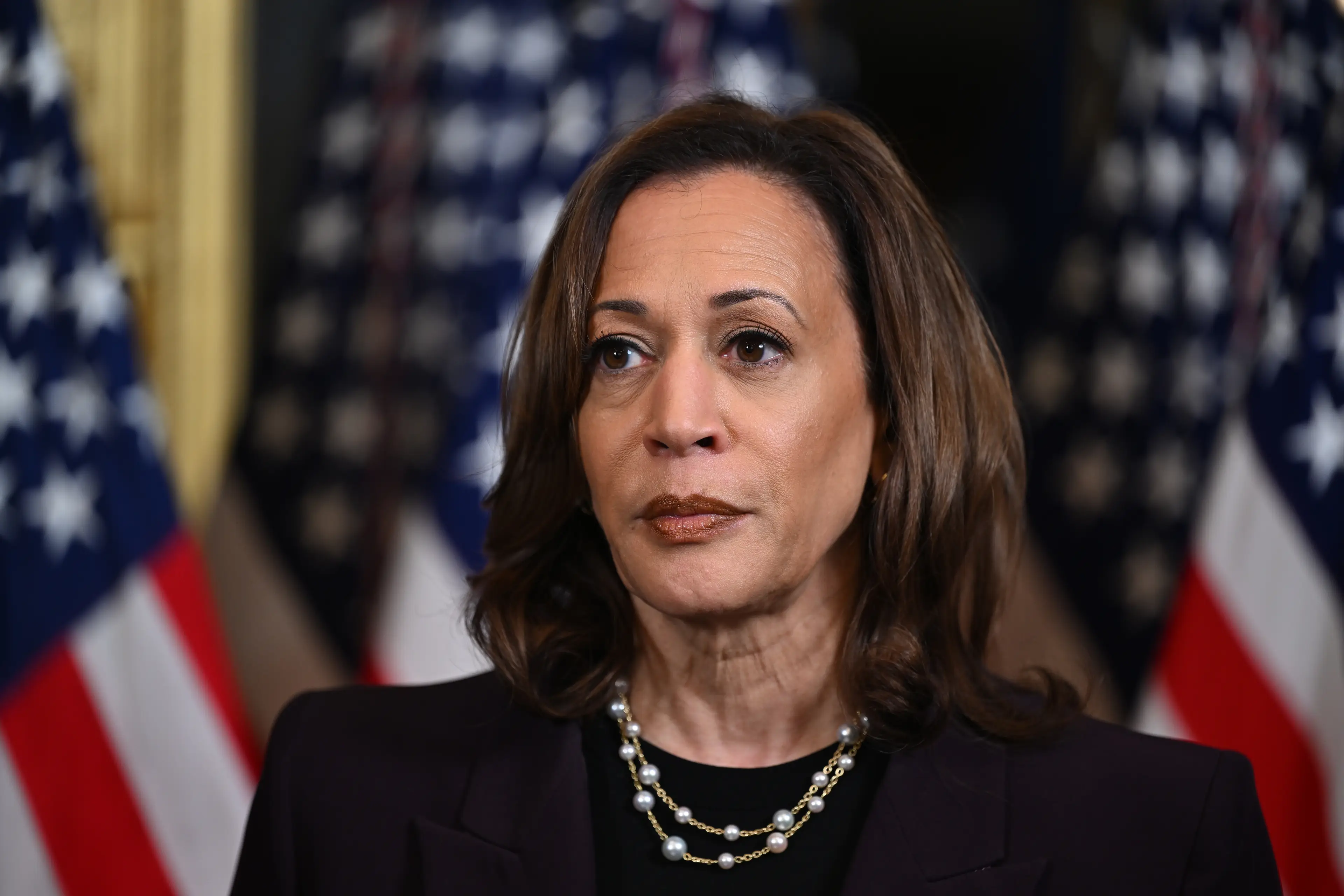 Kamala Harris has Joe Biden's endorsement. (Kenny Holston-Pool/Getty Images)