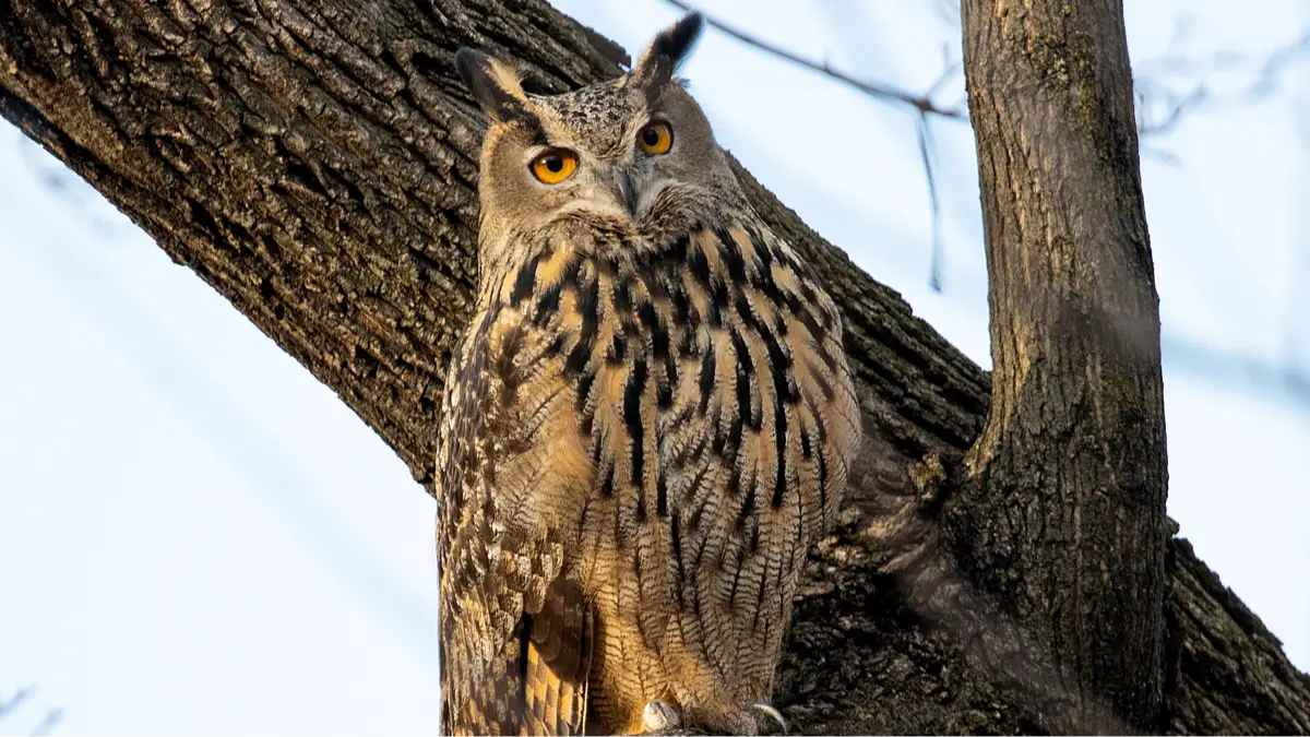 Getty Images/Andrew Lichtenstein