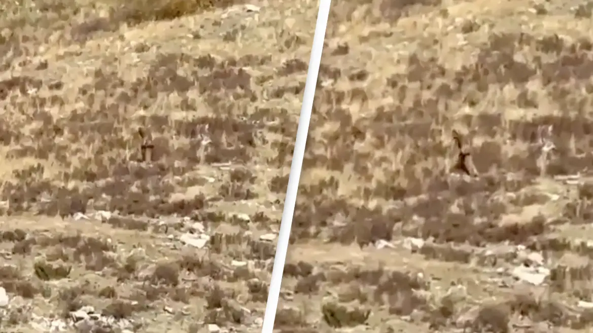 Facebook/Shannon Parker