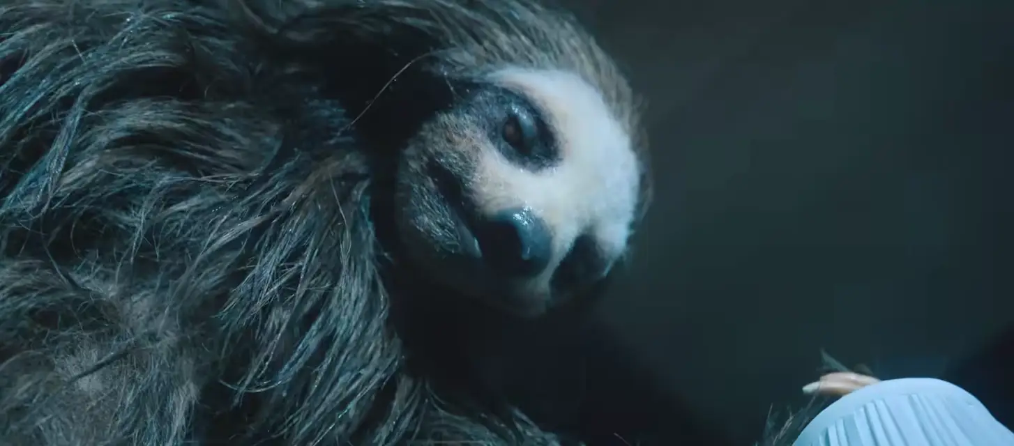 Viewers are in stitches.