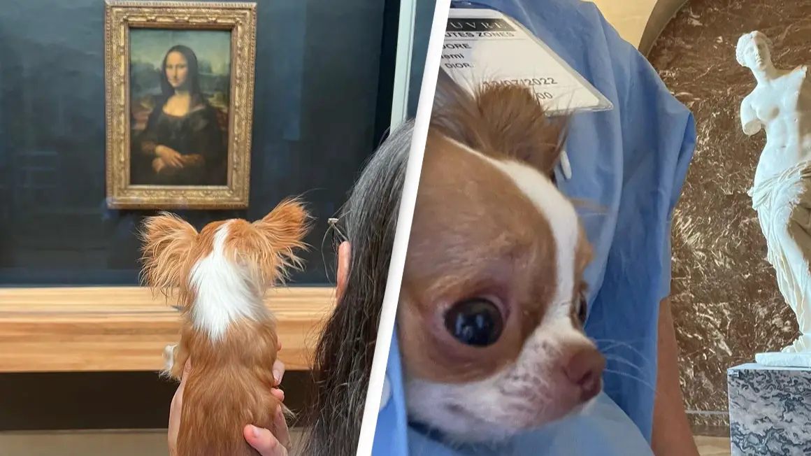 Demi Moore Called Out For Sneaking Her Dog Into The Louvre