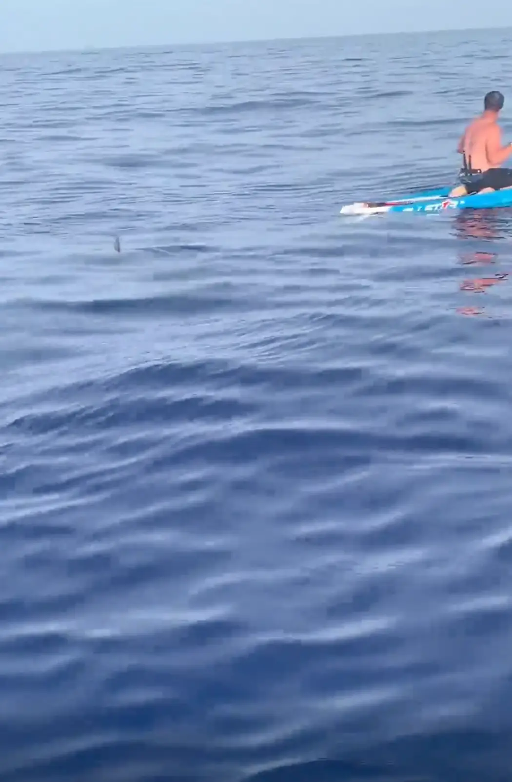 The pair were travelling 80 miles from the Bahamas to Florida on a paddleboard to raise money.