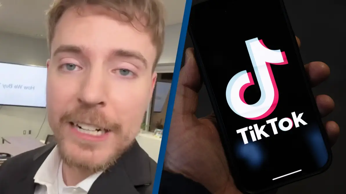 TikTok/mrbeast / Dan Kitwood/Getty Images