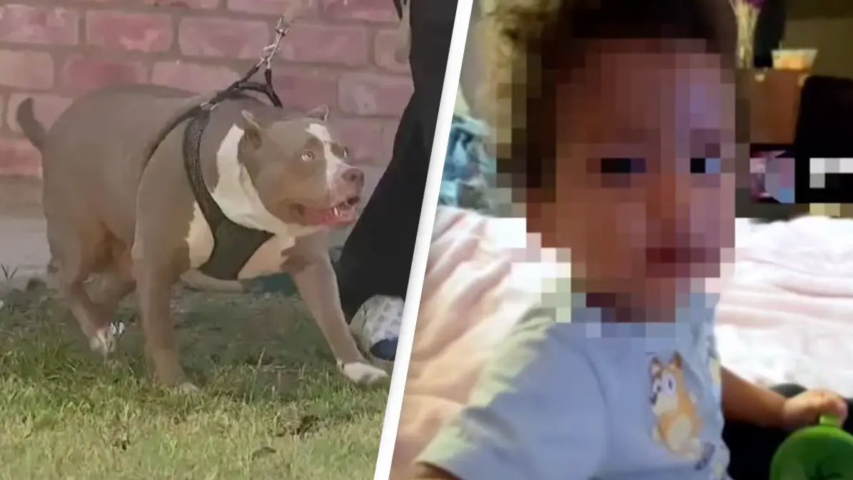 SBG San Antonio/News4SA