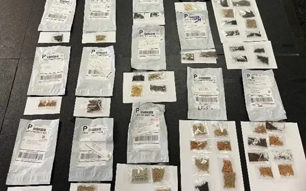 Officials have collected over 1,000 packets of these seeds (Texas Department of Agriculture)