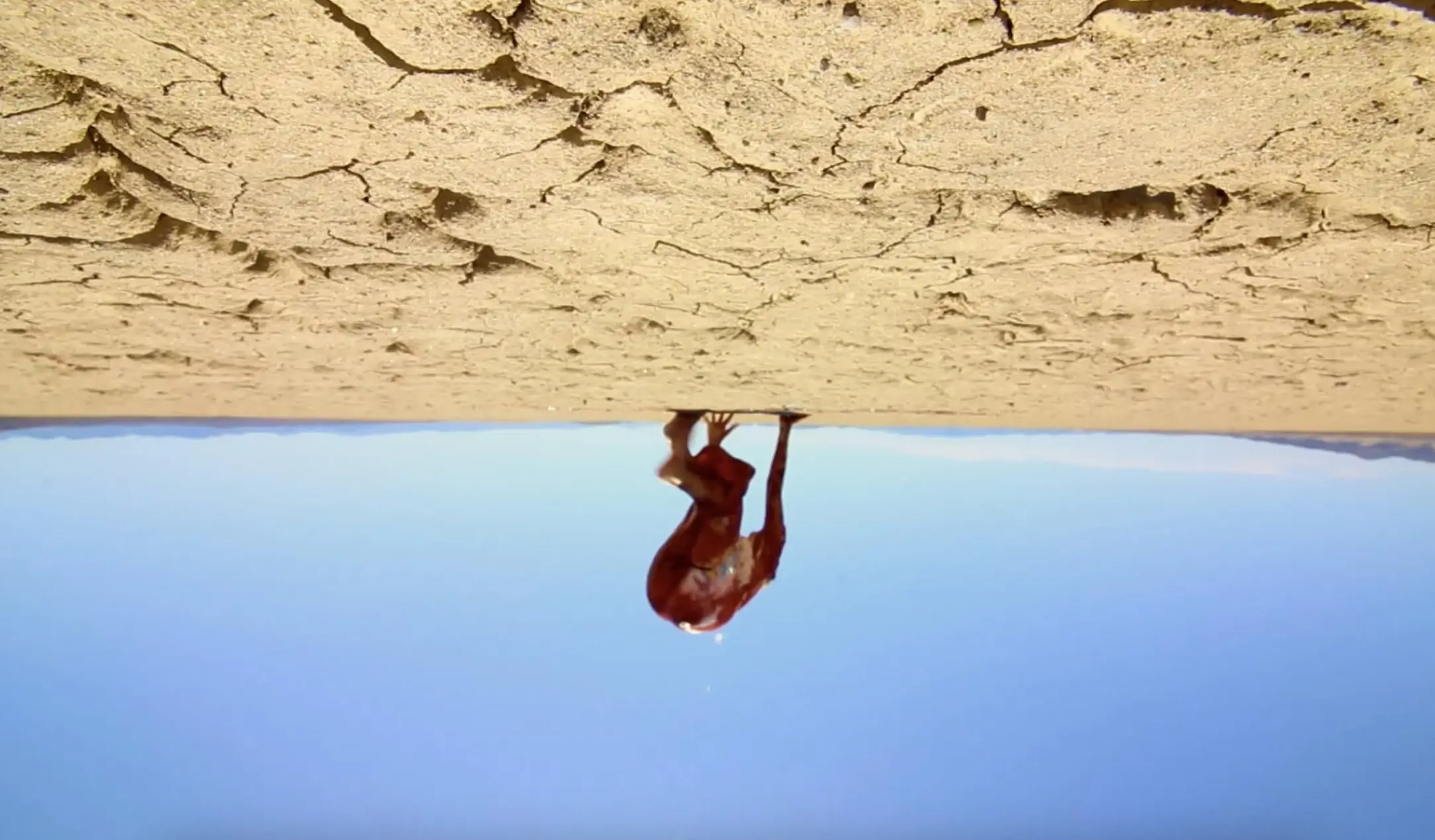 The Outwaters (Cineverse Corp)