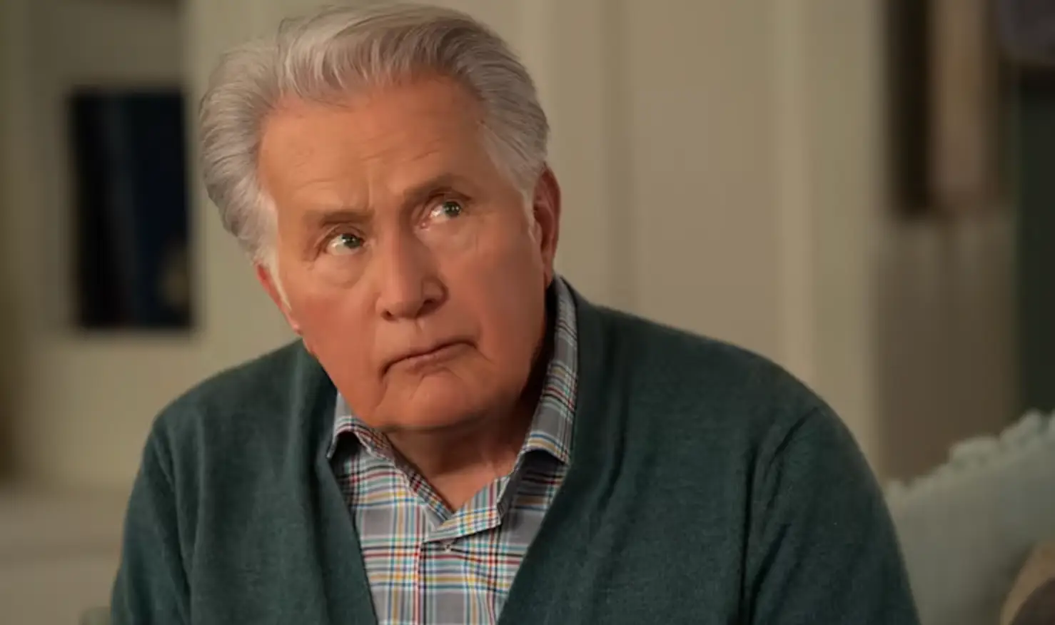 Sheen in Grace and Frankie.