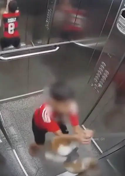 The kid quickly grabbed the leash.