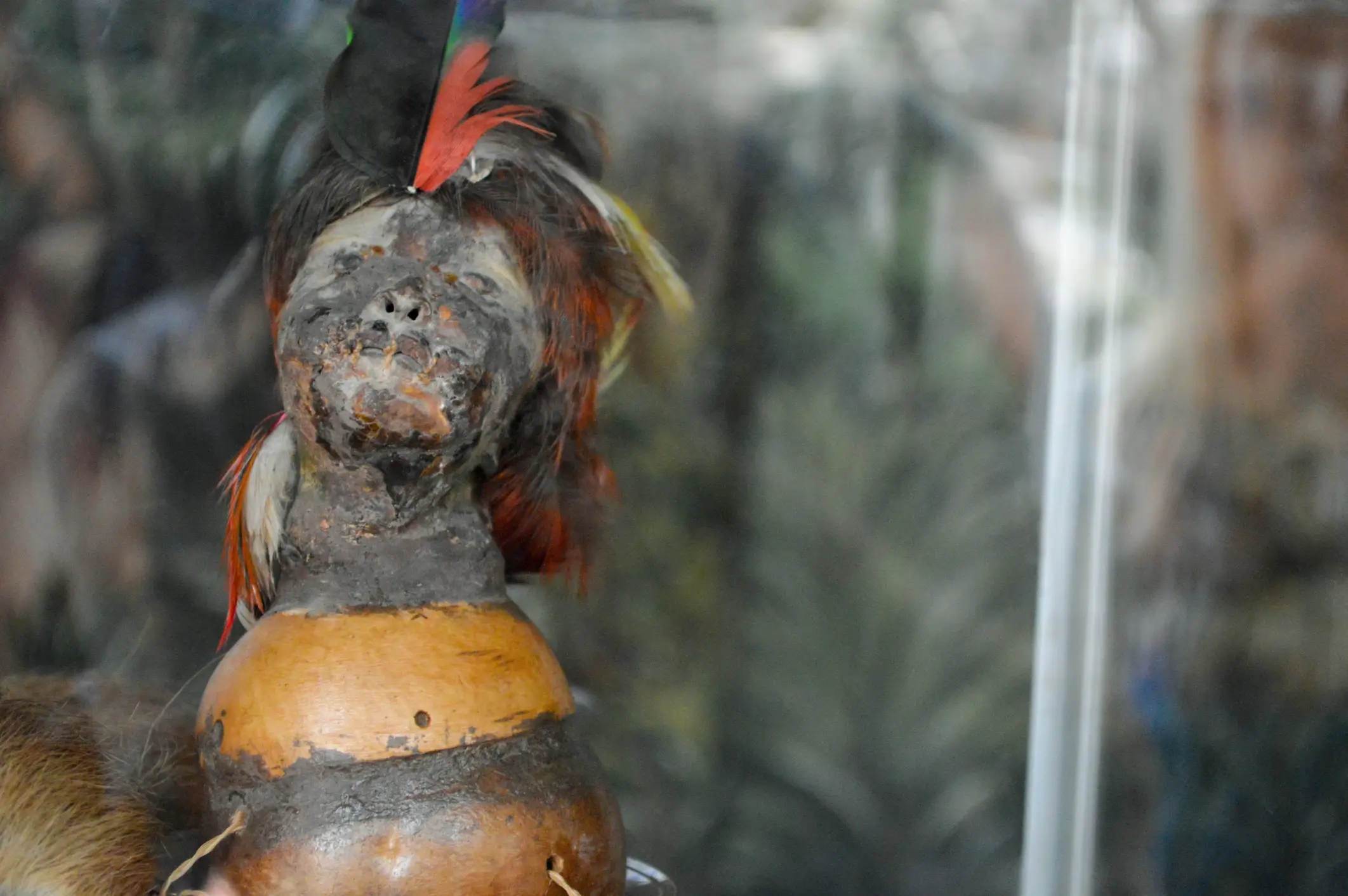 The Shuar and Achuar peoples of the northwestern Amazon rainforest (modern-day Ecuador and Peru) originally created tsantsas (Getty Images/S Pinter)