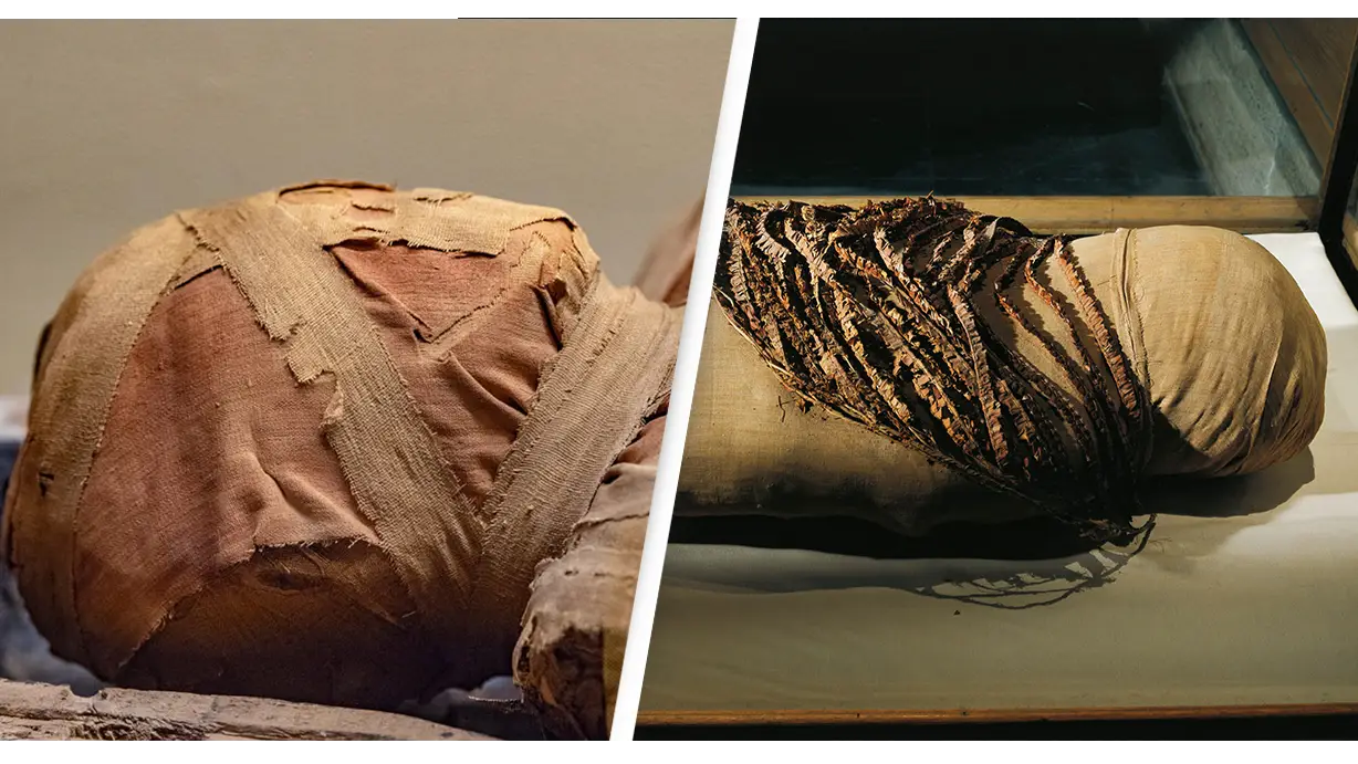 Getty Images/iStockphoto/ DEA PICTURE LIBRARY/De Agostini via Getty Images