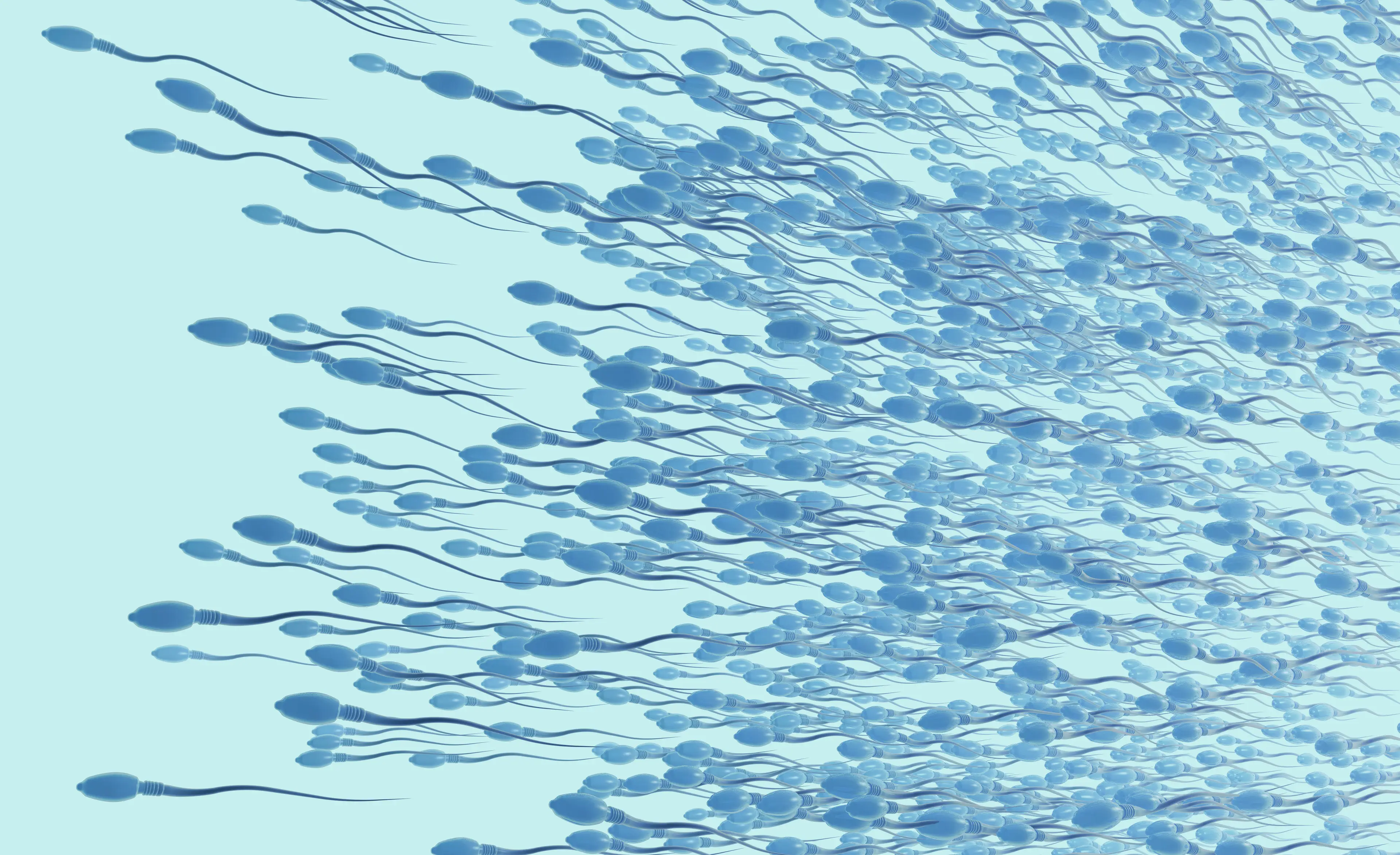 The sperm defy Newton's third law of motion.