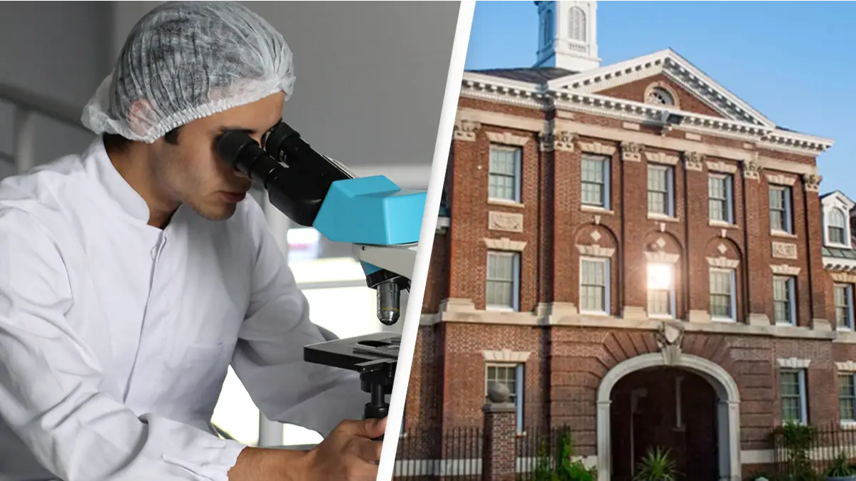 Pexels / Rensselaer Polytechnic Institute