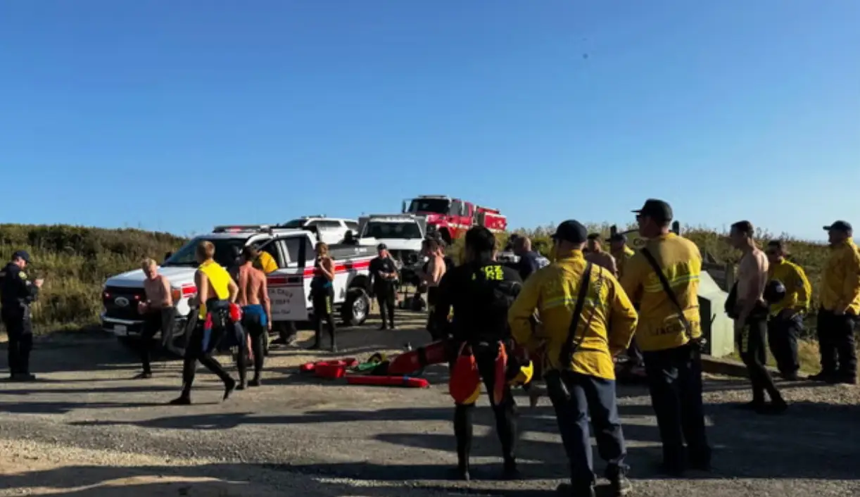 This is the fifth rescue that's been performed in a month along a one-mile stretch of coastline (Facebook/ AL FIRE CZU San Mateo-Santa Cruz Unit)