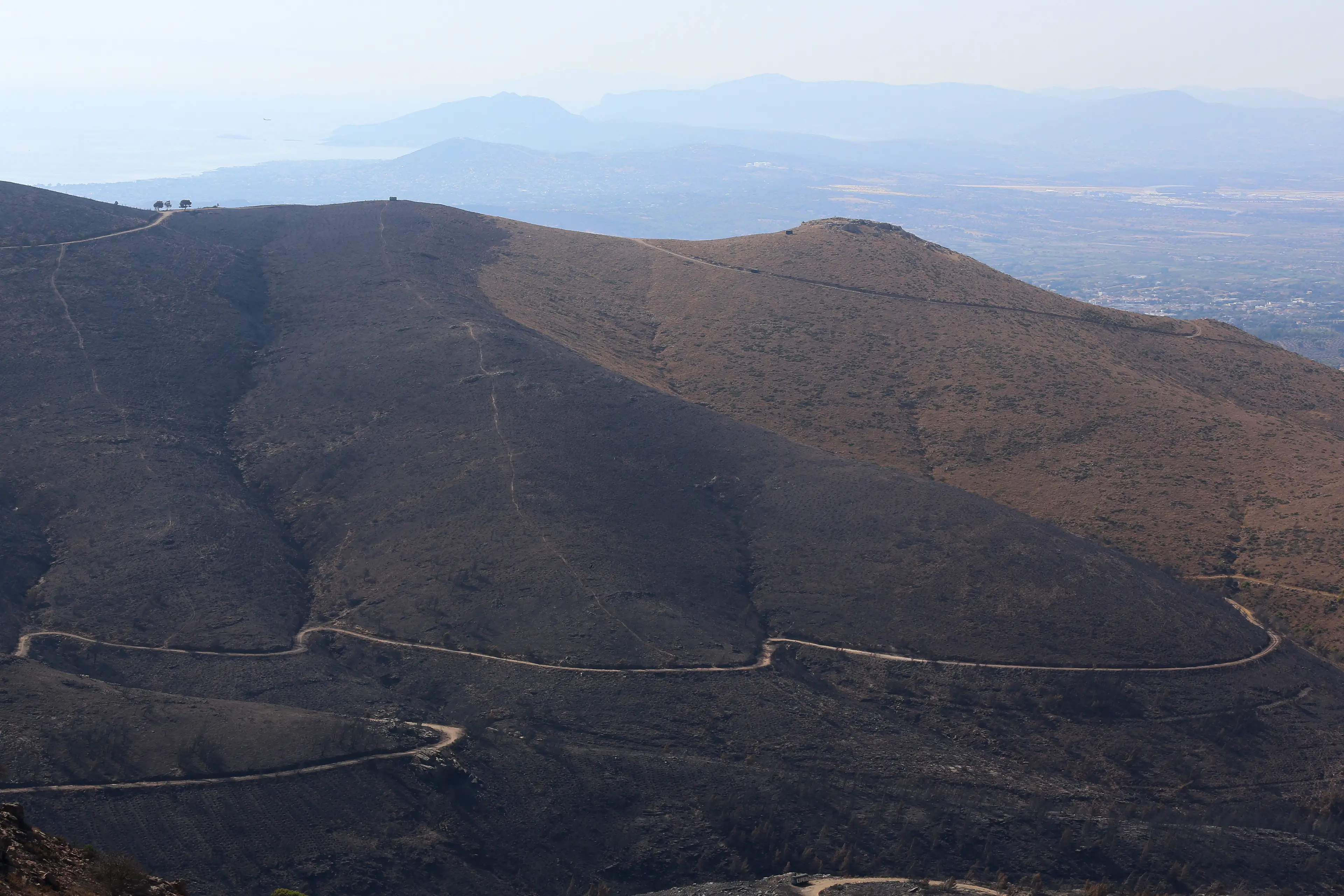 Wildfires have affected large parts of Greece (stock image) (Nikolas Mhtrousias/NurPhoto via Getty Images)