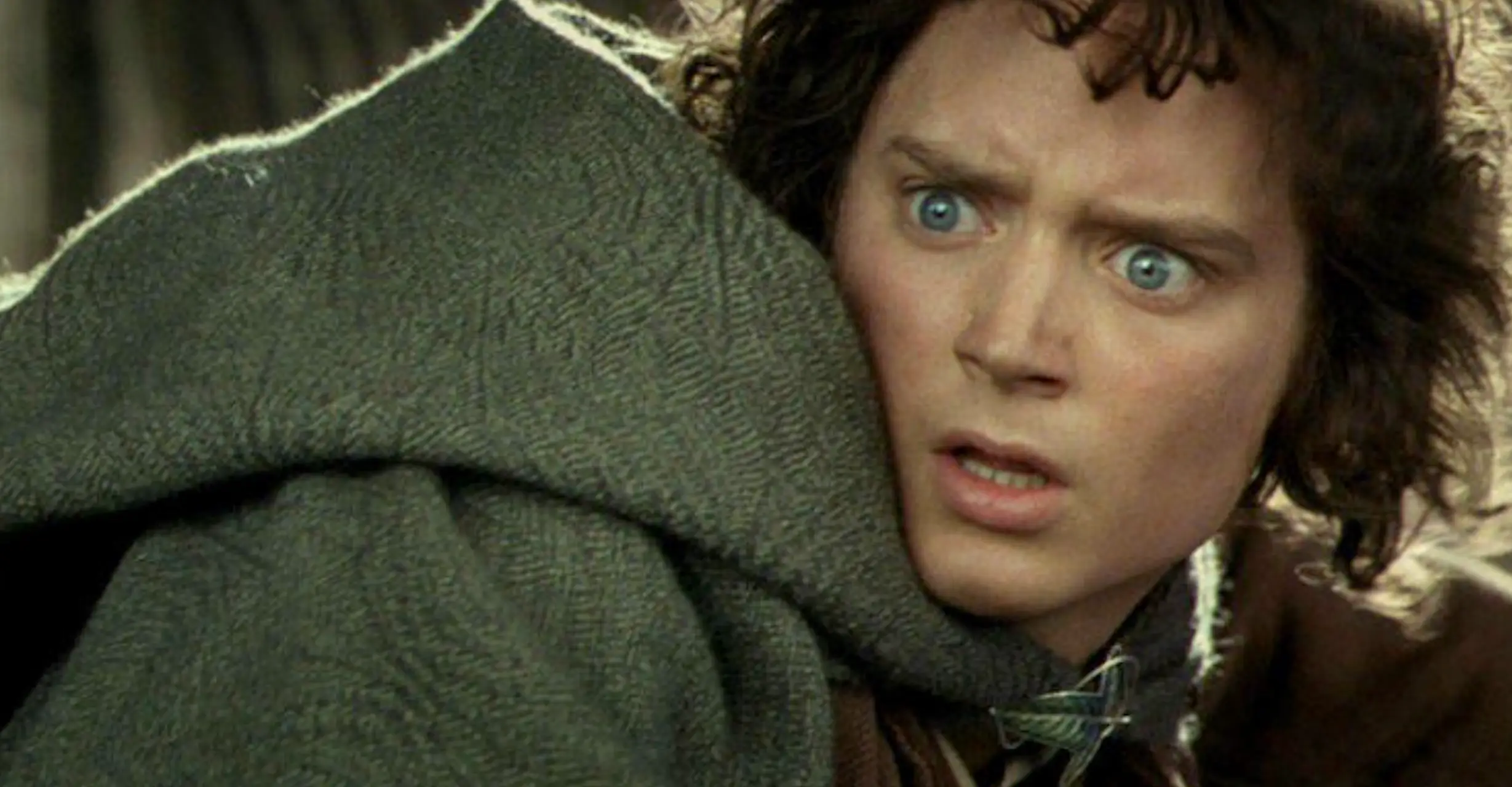 The actor said he wouldn't want anyone else to play Frodo while he's alive (Warner Bros.)