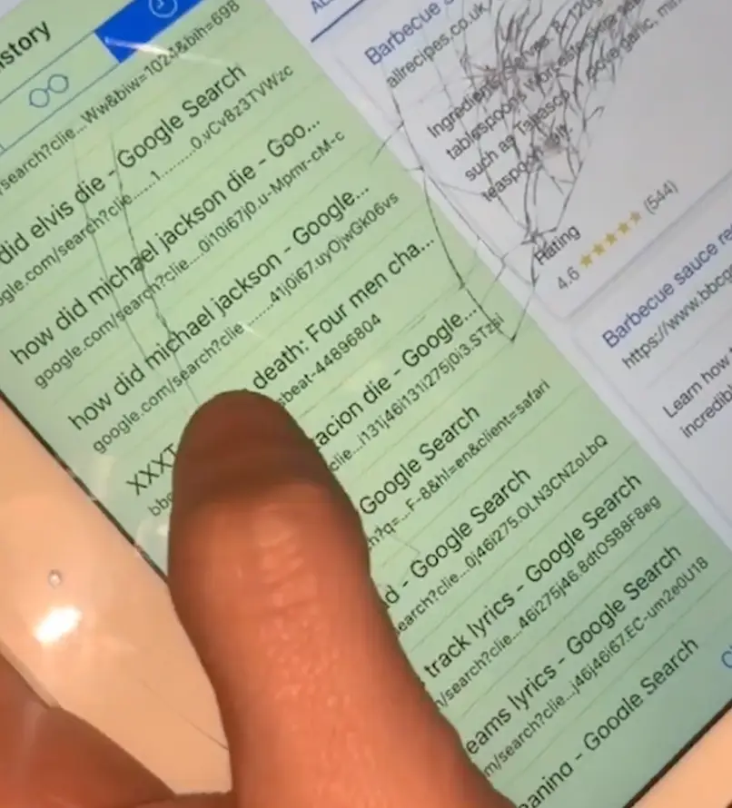 8-year-old's search history exposed (Instagram/ @ashleighjwil)