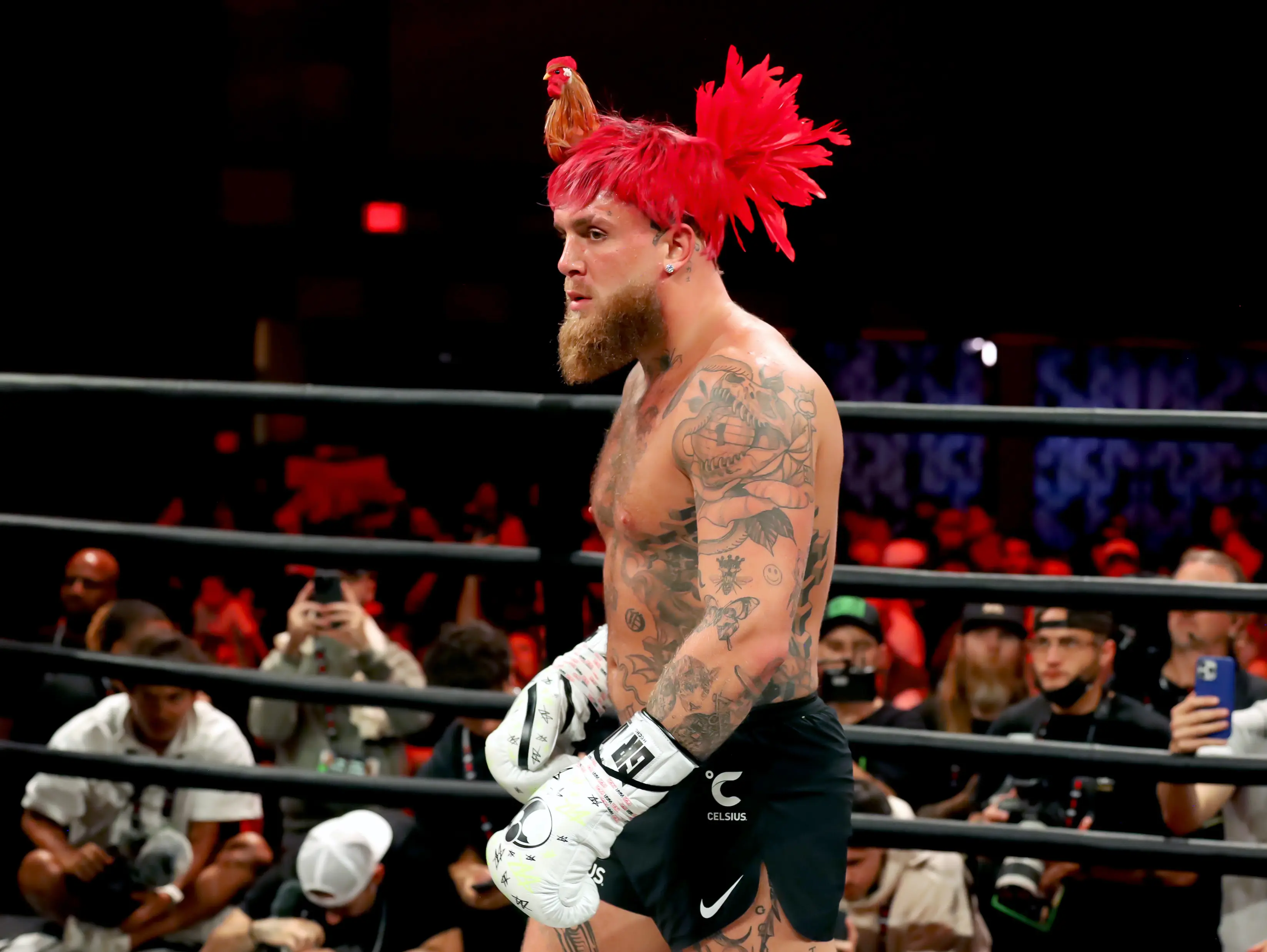 Jake Paul will be hoping for an upset (Ayisha Collins/Getty Images for Netflix © 2024)