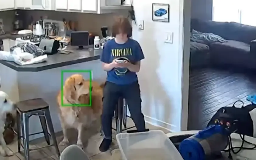 Gregg could be seen texting after the alleged gunshots rang out (Law&Crime Trials)