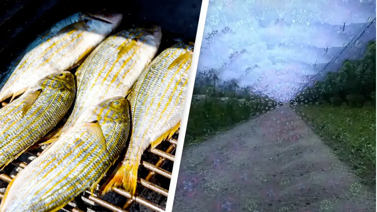 JGA/Shutterstock.com / Loka / Youtube