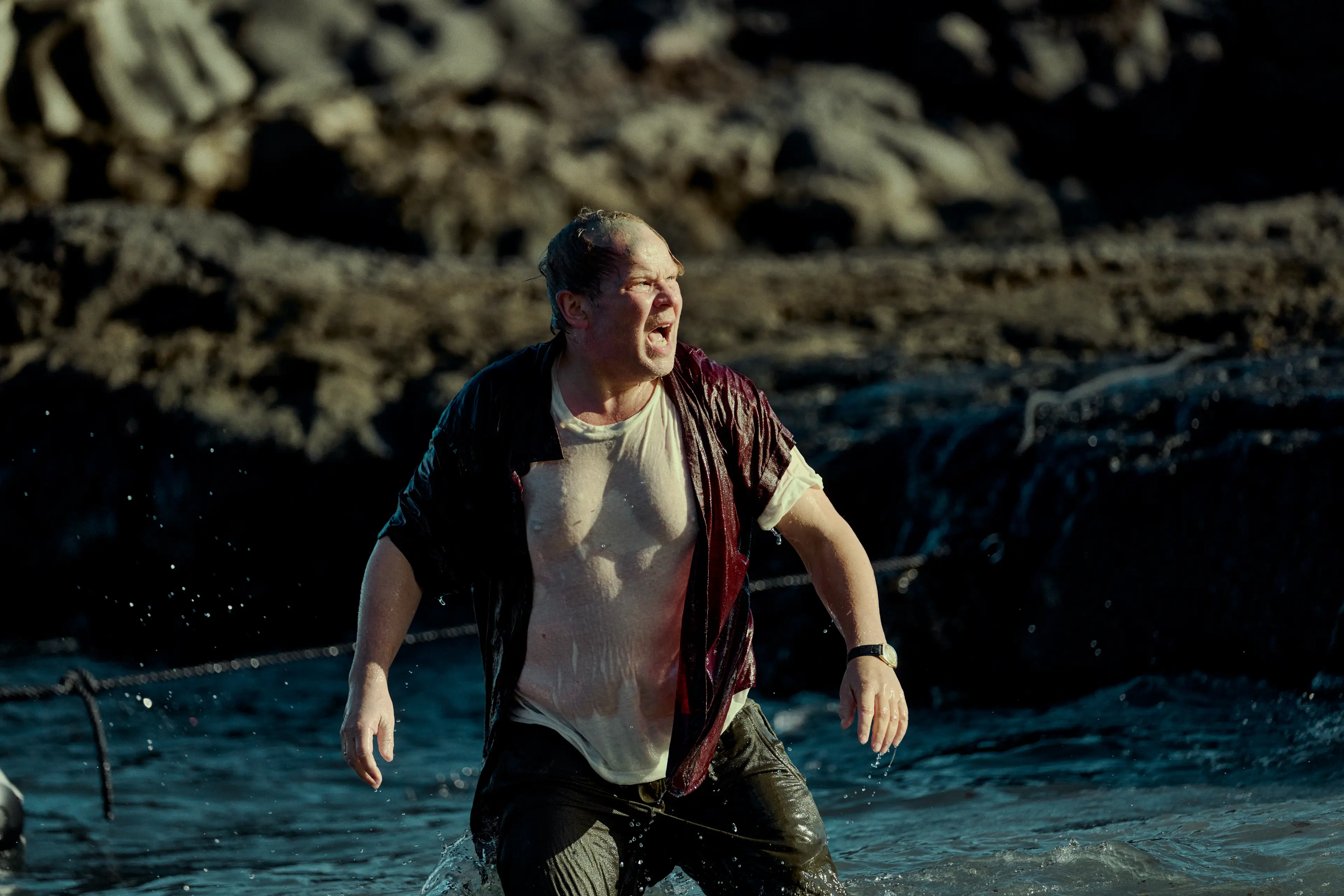 Fans said the series was a 'tear-jerker' (Netflix)