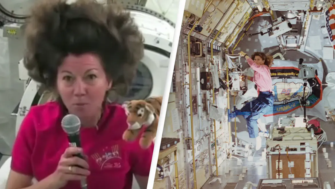 YouTube/Ted / Space Frontiers/Archive Photos/Hulton Archive/Getty Images