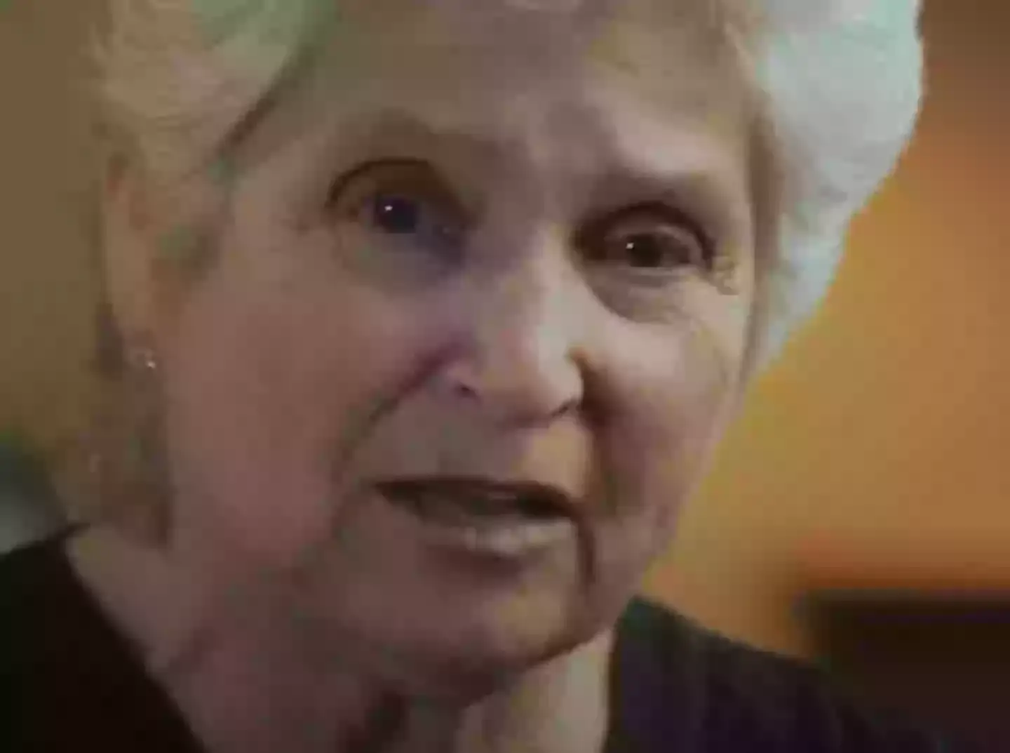 Lovatt reflected on her time with the dolphin in a documentary back in 2014 (BBC)