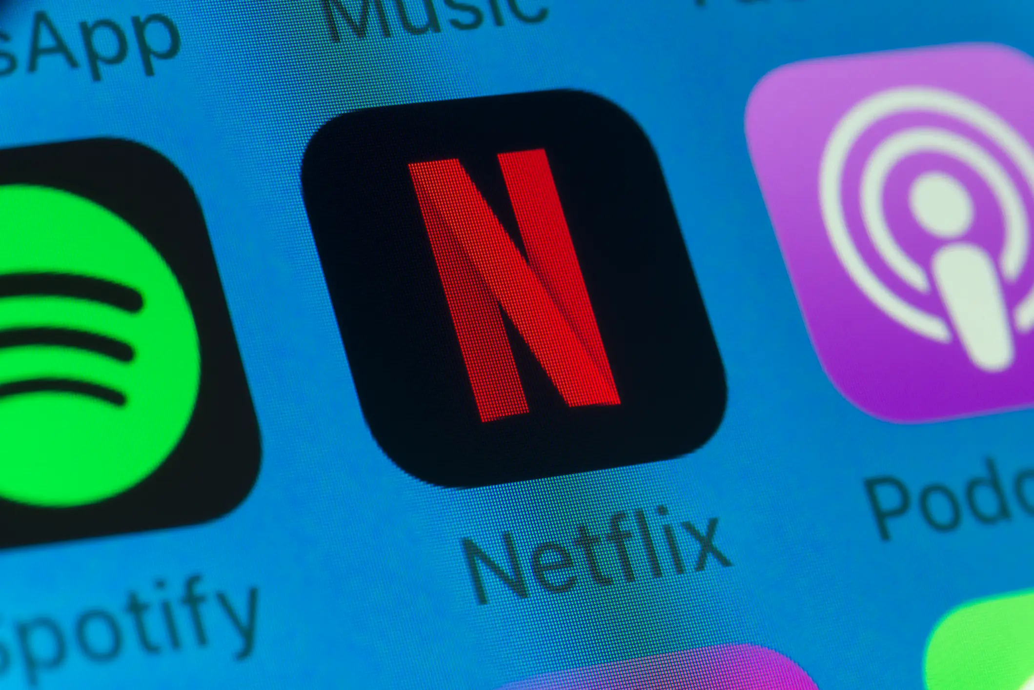Netflix and dozens of other popular platforms have been leaked (Getty Images)