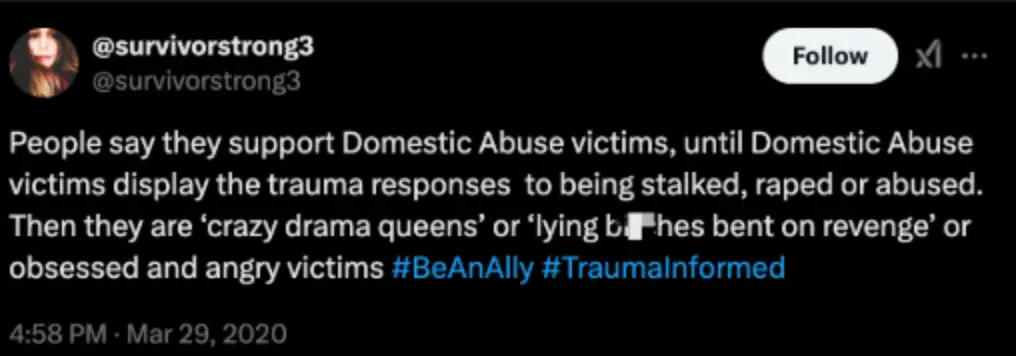 Responses to Domestic Abuse victims (Twitter/ @survivorstrong3) 