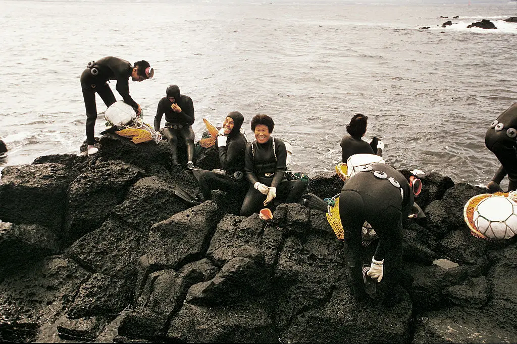 Most haenyeo divers today are in their 60s and 70s, with only around 5% of trainees at a Jeju diving school going on to become haenyeo. (Photo by Massimo Borchi/Atlantide Phototravel/Getty Images)