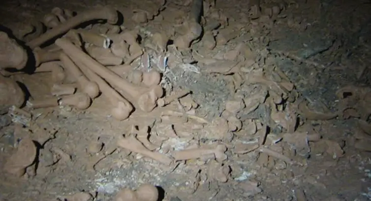 Piles of bones were found inside the nightmarish cave.