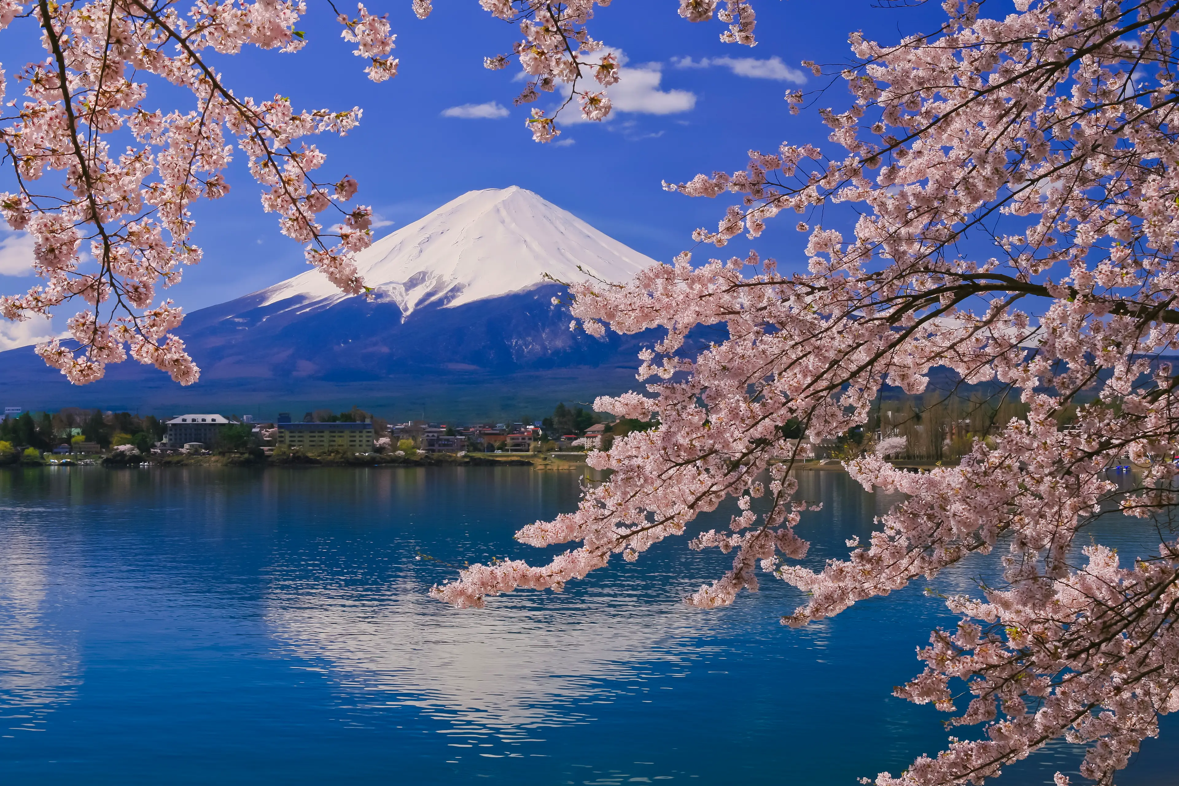 This is what Mount Fuji should look like at this time of year (Getty Stock Photo)