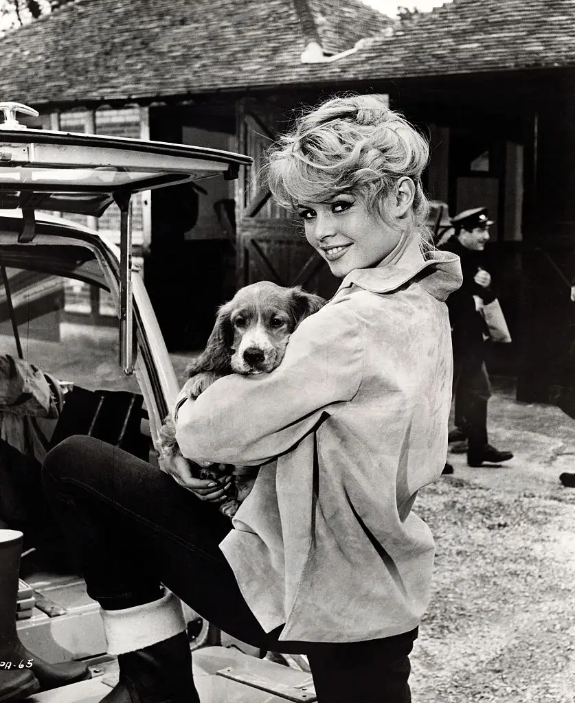 The actress left the film industry to dedicate herself to animal welfare (George Rinhart/Corbis via Getty Images)