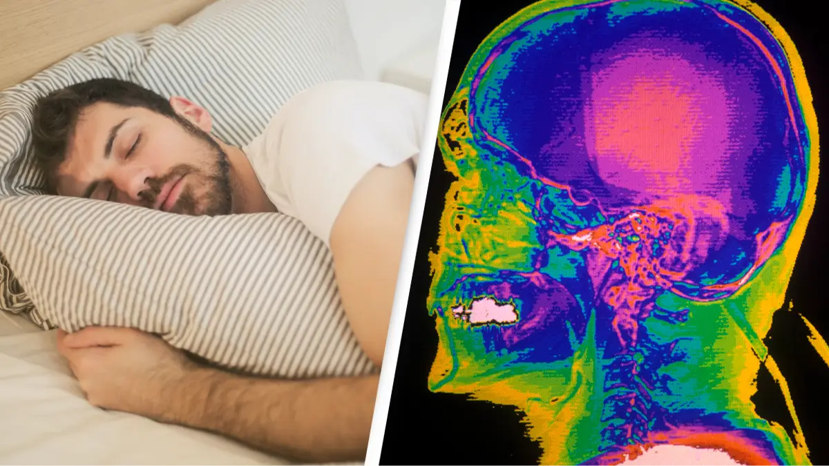 Getty/John Greim / Contributor/Pexels/Andrea Piacquadio