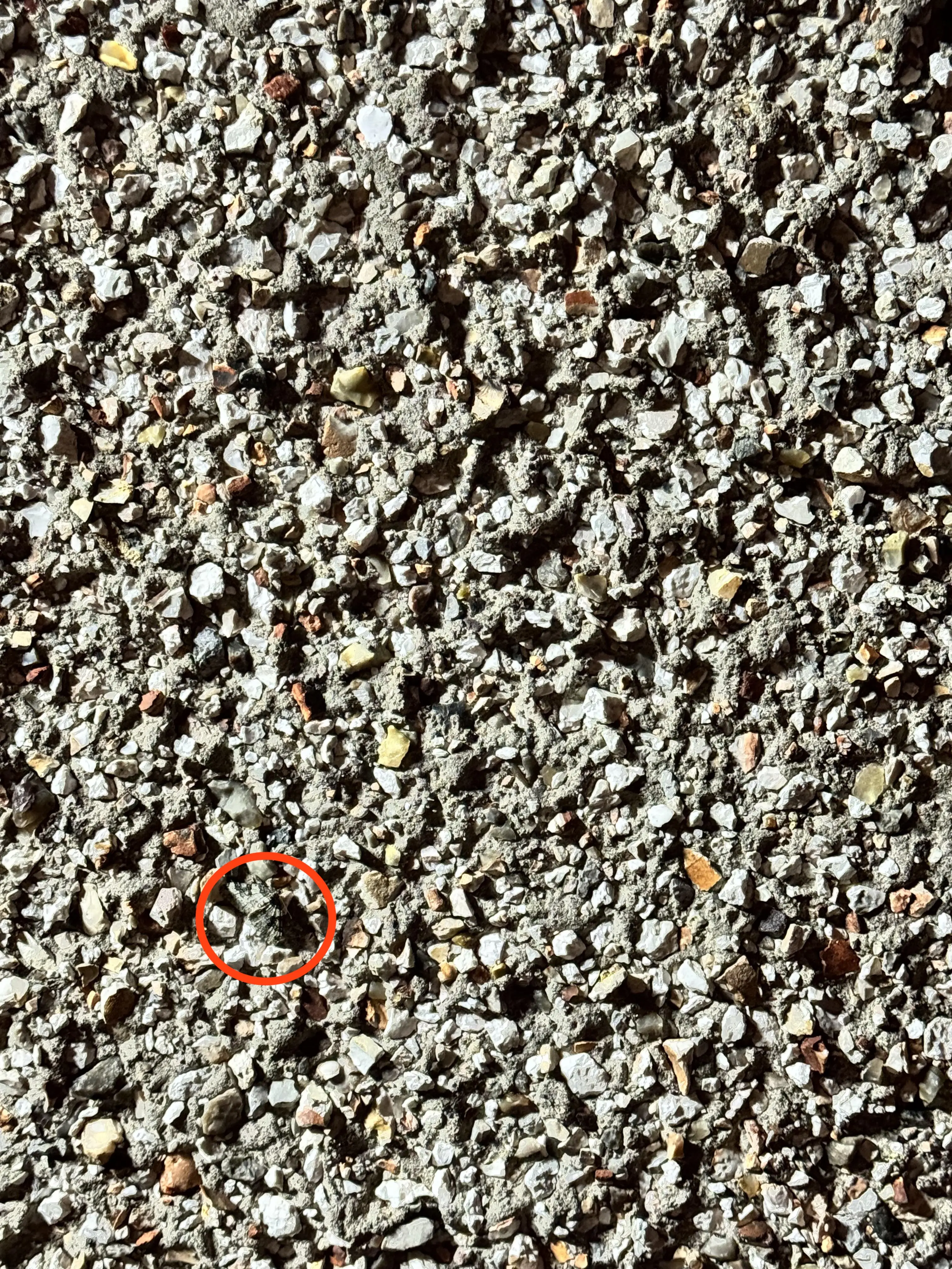 There it is! (Reddit / r/Spartans_Ghost47)