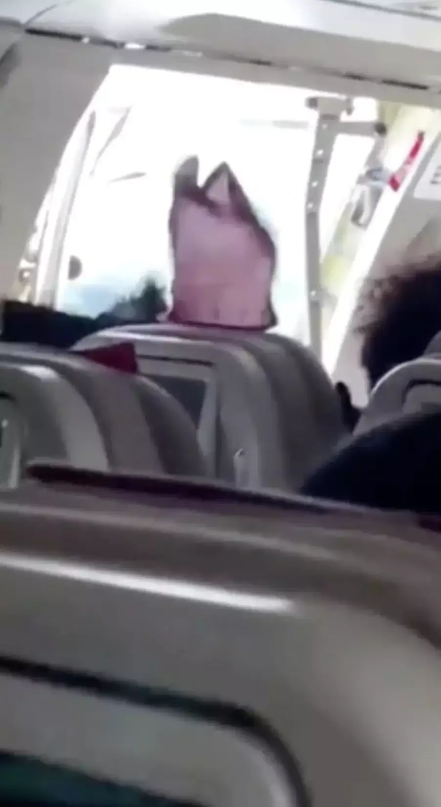 The door was flung open at around 700 feet during landing.