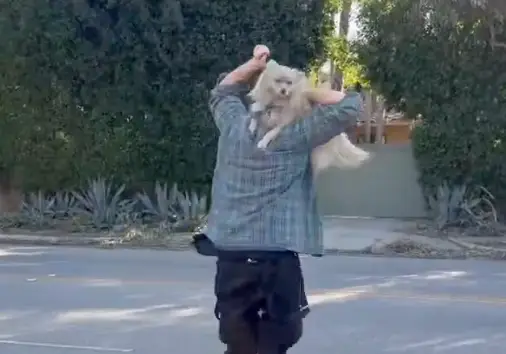 Colvin began running and cheering when he found Oreo (X/@LizKreutzNews/WKYC Channel 3)