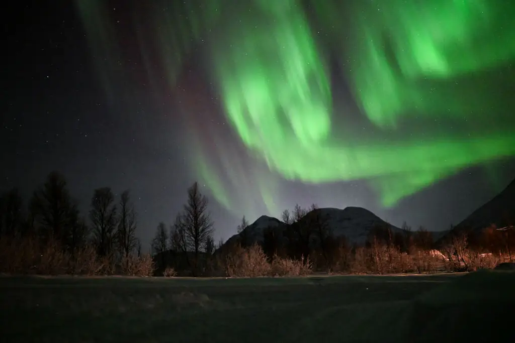 Users have been discussing the noise on Reddit.