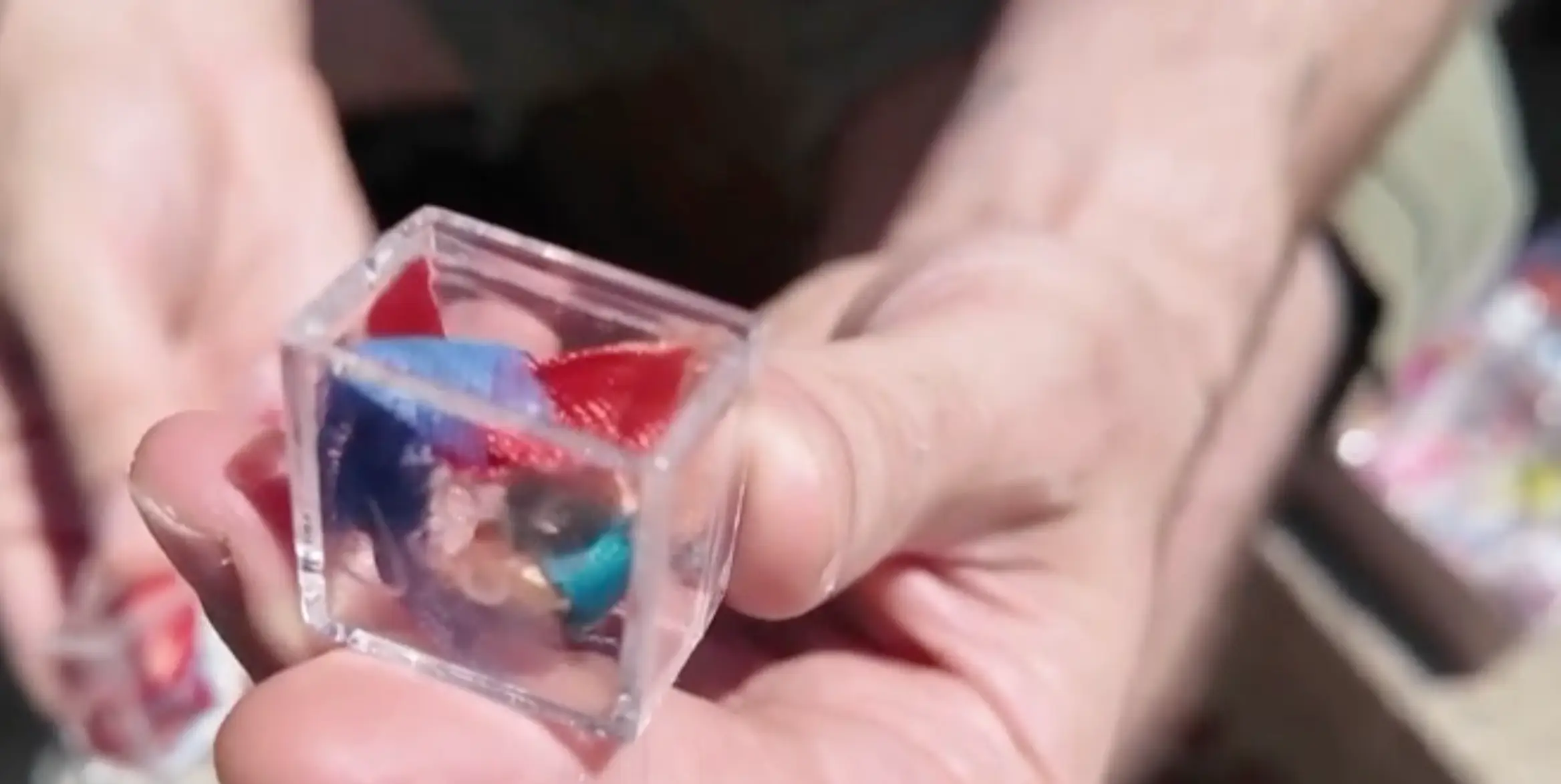 Gignac has been running his New York City Garbage project since 2001 (BBC News)