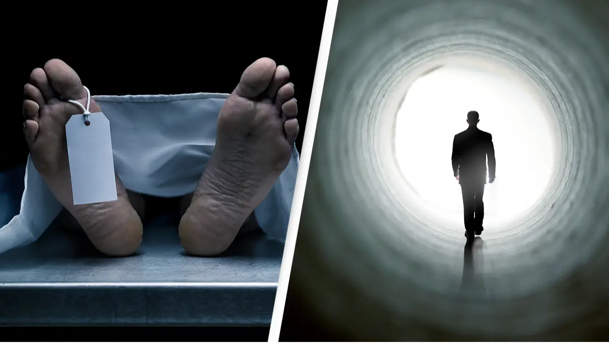 D-Keine/Josh Blake/Getty Images