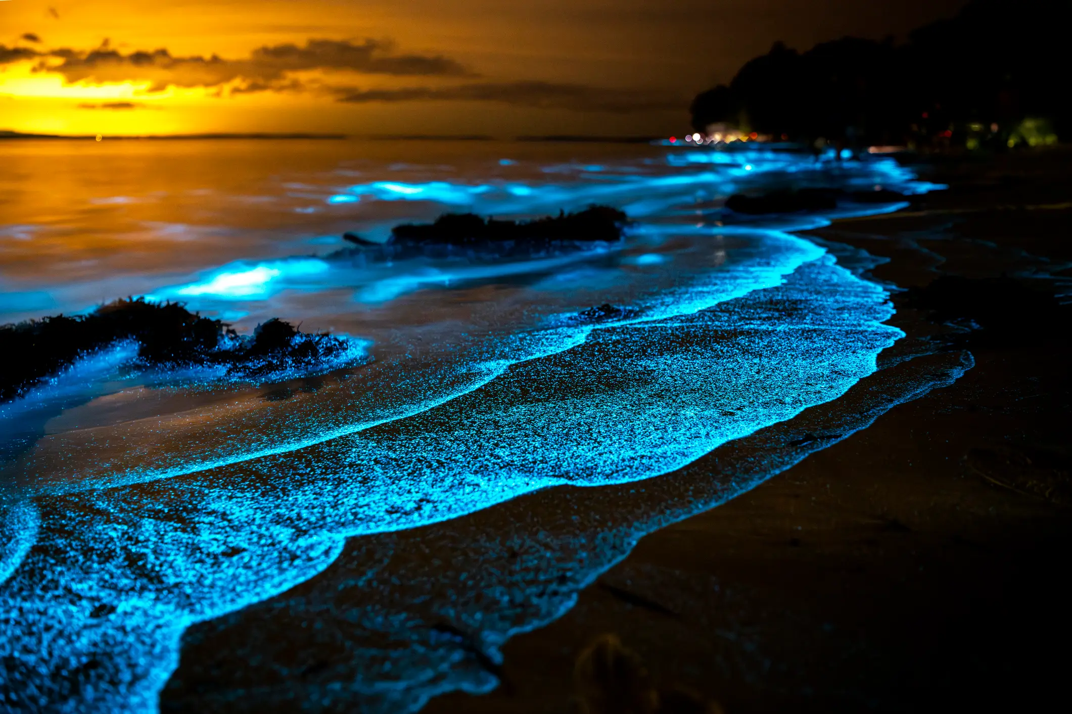 Bioluminescent plankton can make the ocean appear to glow (Getty Stock Photo)
