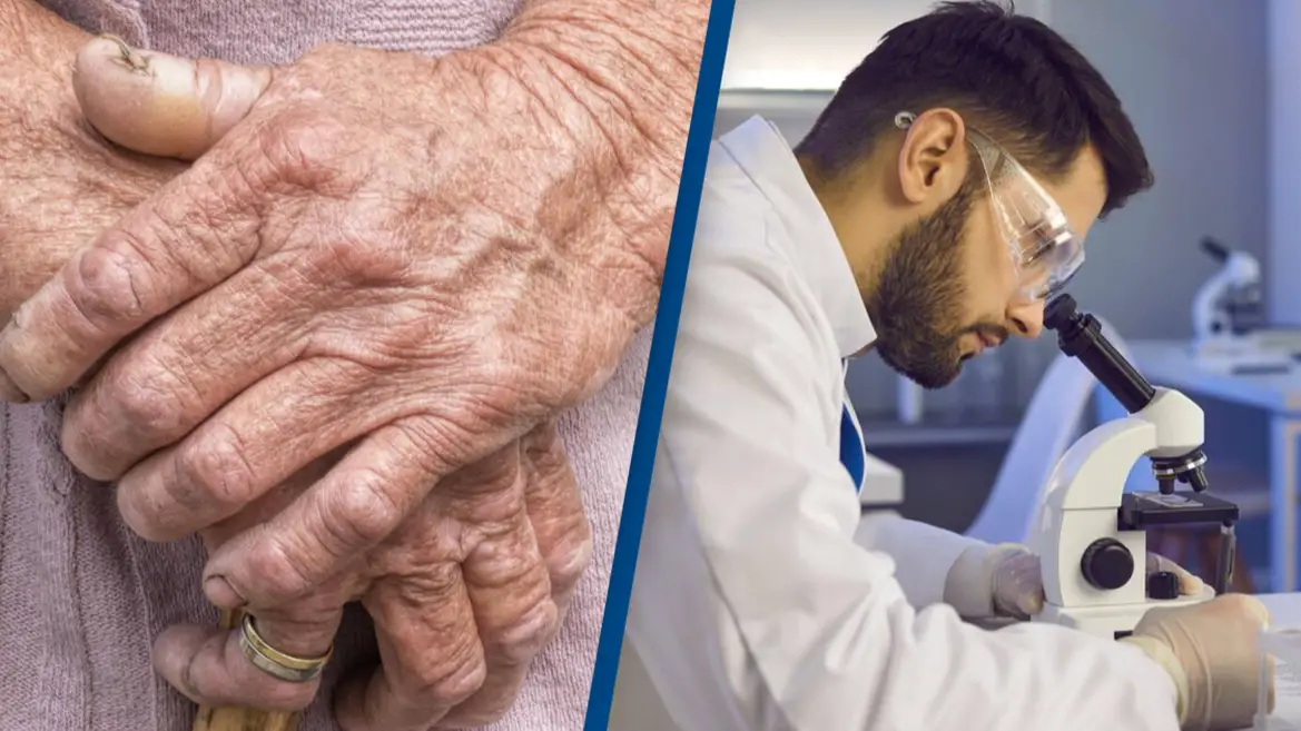 Scientists believe they may have found the secret to living to 100 and beyond