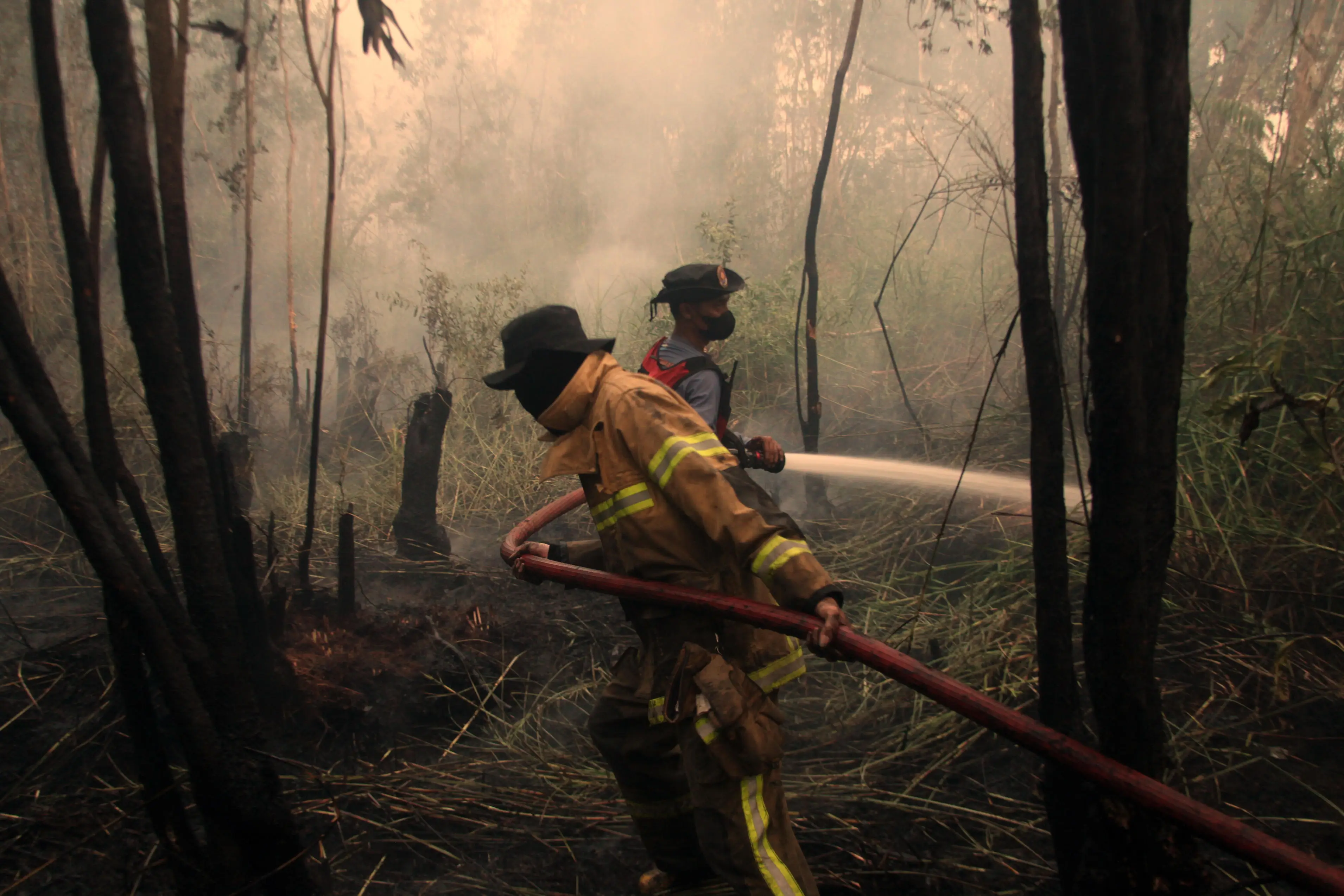 Indonseia has been experiencing wildfires that have been fueled by El Niño (Muhammad Fajri/Anadolu via Getty Images)