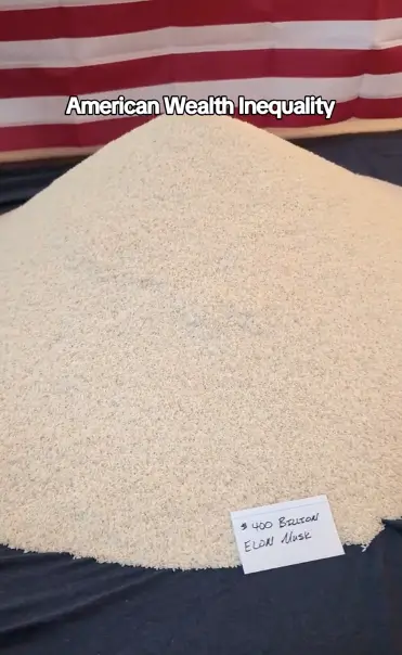 Elon Musk's pile of rice compared to a single grain representing most Americans (@realestatebulldog/TikTok)