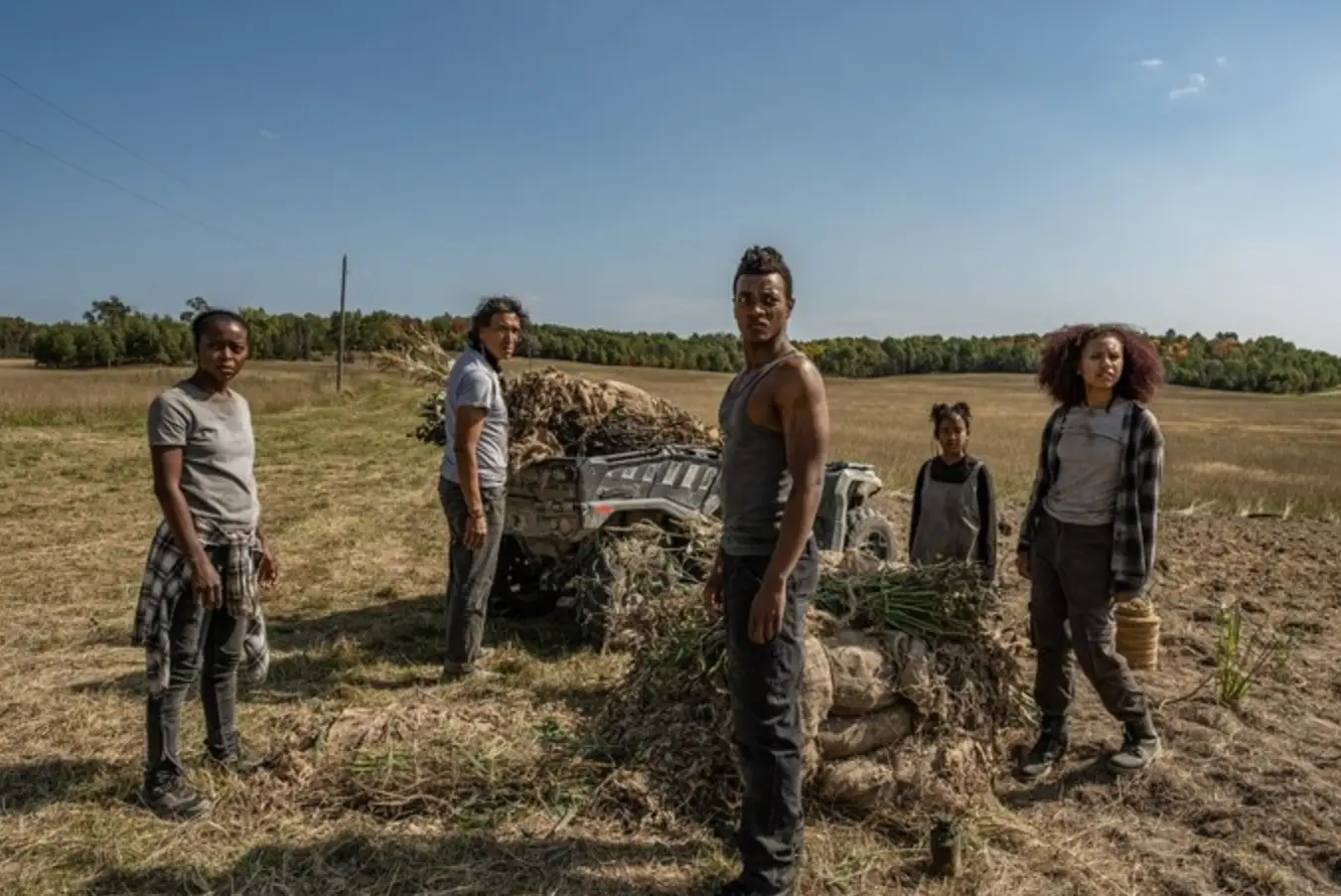 The movie is being compared to The Walking Dead (Mongrel Media)