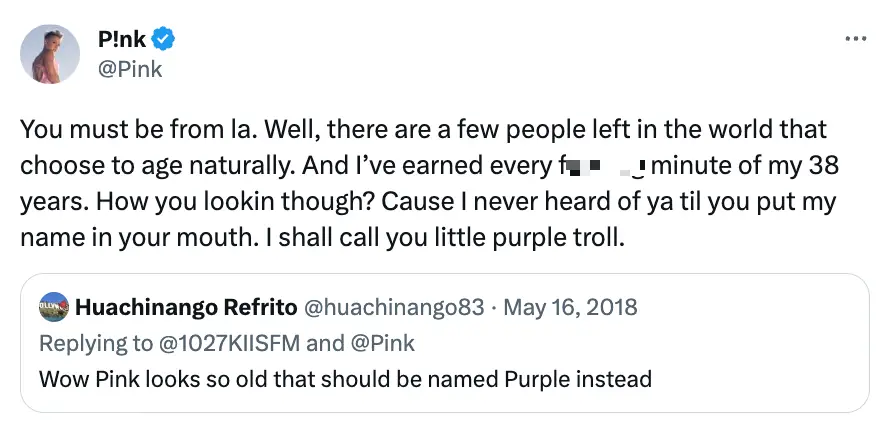 P!nk expertly shut down the troll.