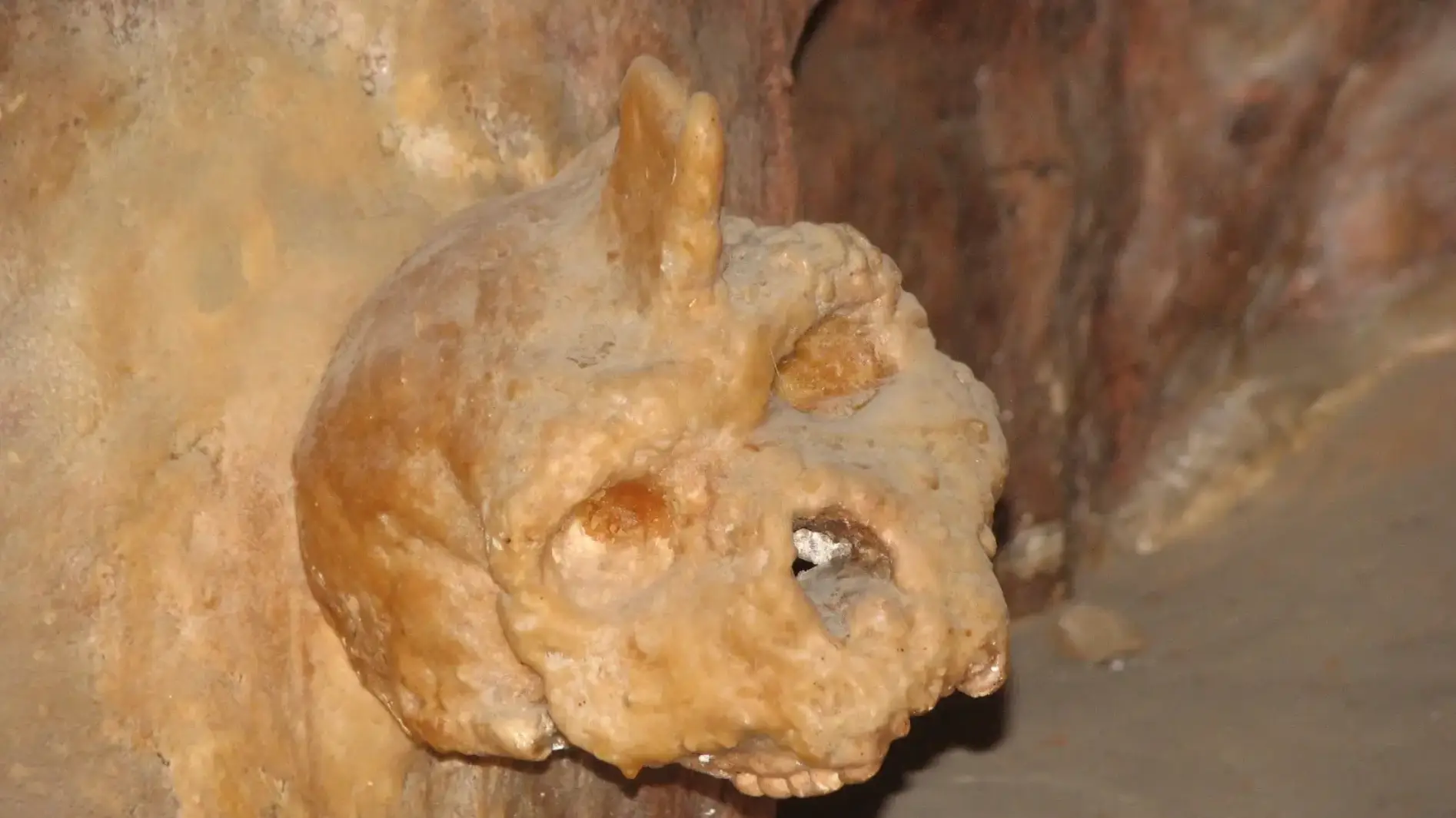 Terrifying skull found in cave wall leaves scientists baffled as it’s not human or Neanderthal