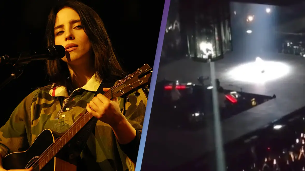 Billie Eilish fan slammed for disgusting heckle during concert