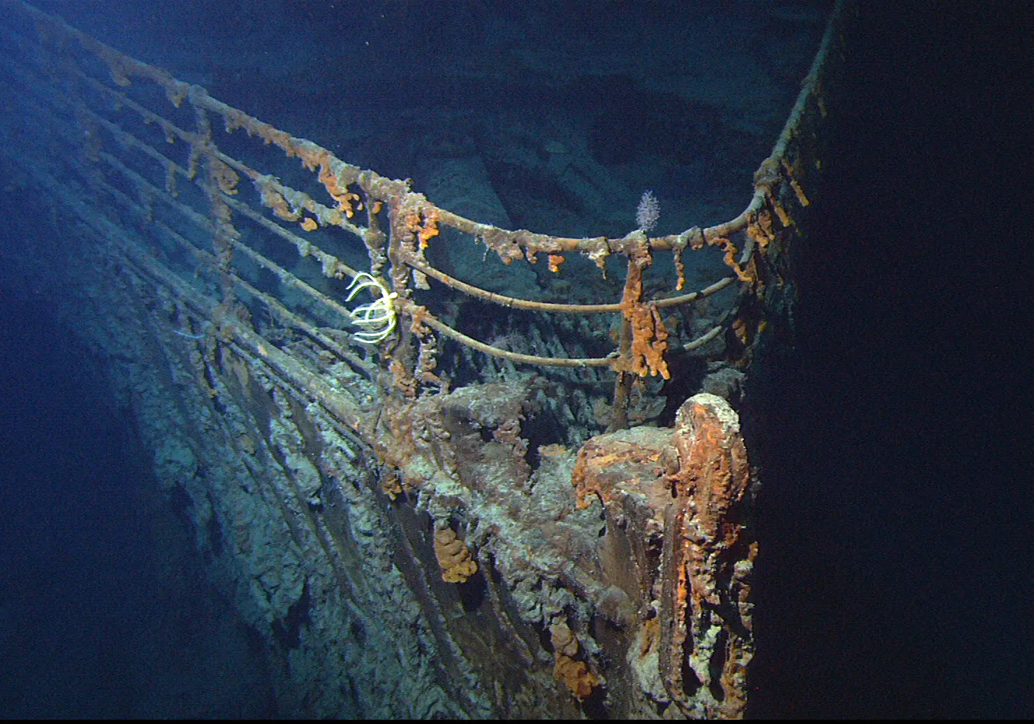 The wreck of the RMS Titanic has laid on the bottom of the Atlantic Ocean for over 100 years (NOAA/Institute for Exploration/University of Rhode Island/Wikimedia Commons)
